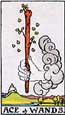 ace of wands